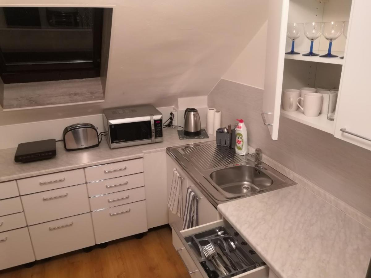Penzion Ubytovani U Parku S Parkovistem Česká Lípa Exterior foto